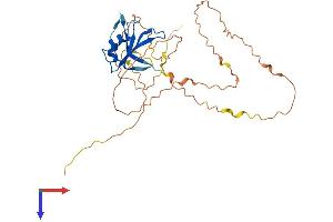 AlphaFold protein structure predicition of Human Recombinant DAZL Protein, UniprotID Q92904