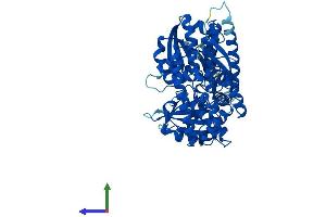 AlphaFold protein structure predicition of Mouse Recombinant Cdc45 Protein, UniprotID Q9Z1X9