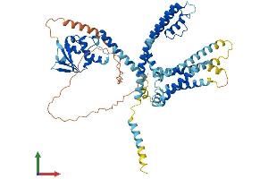 AlphaFold protein structure predicition of Mouse Recombinant Kcnv2 Protein, UniprotID Q8CFS6