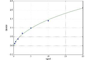 A typical standard curve