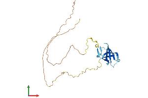 AlphaFold protein structure predicition of Mouse Recombinant Gar1 Protein, UniprotID Q9CY66