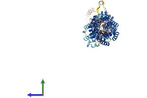 AlphaFold protein structure predicition of Mouse Recombinant Cdc16 Protein, UniprotID Q8R349