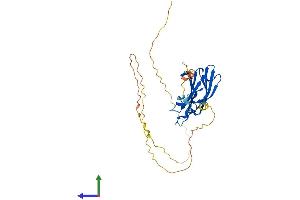 AlphaFold protein structure predicition of Human Recombinant RIMS3 Protein, UniprotID Q9UJD0
