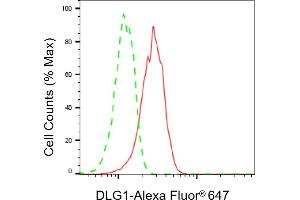 Flow cytometric analysis of DLG1 expression in HT- cells using DLG1 antibody (ABIN7798354), 1:2,000). (Recombinant DLG1 anticorps)
