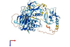 AlphaFold protein structure predicition of Human Recombinant PRKCD Protein, UniprotID Q05655