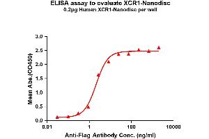 Elisa plates were pre-coated with Flag Tag -Nanodisc (0.