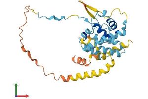 AlphaFold protein structure predicition of Human Recombinant EBLN2 Protein, UniprotID Q6P2I7