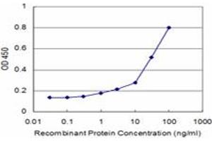Detection limit for recombinant GST tagged MAGED2 is approximately 1ng/ml as a capture antibody.
