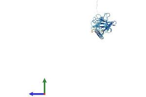 AlphaFold protein structure predicition of Human Recombinant SGCZ Protein, UniprotID Q96LD1
