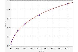Typical standard curve (TNFRSF11A Kit ELISA)