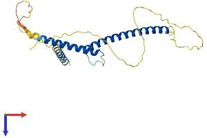 AlphaFold protein structure predicition of Human Recombinant MXI1 Protein, UniprotID P50539
