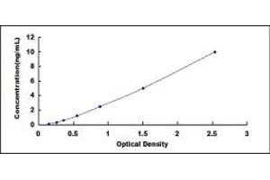 Typical standard curve (SERPINB6 Kit ELISA)