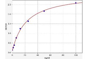 Typical standard curve (ABCC4 Kit ELISA)