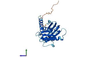 AlphaFold protein structure predicition of Human Recombinant EXOSC5 Protein, UniprotID Q9NQT4