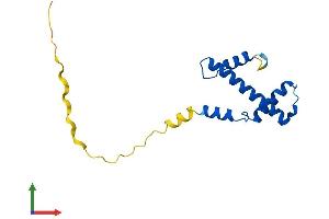 AlphaFold protein structure predicition of Human Recombinant CENPA Protein, UniprotID P49450