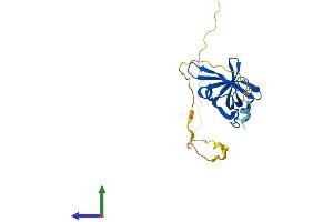 AlphaFold protein structure predicition of Human Recombinant NABP2 Protein, UniprotID Q9BQ15