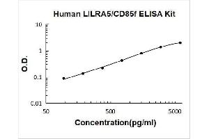 Typical Standard Curve
