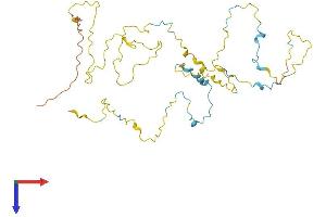 AlphaFold protein structure predicition of Mouse Recombinant Stpg1 Protein, UniprotID Q9D2F5