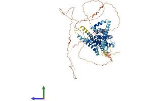AlphaFold protein structure predicition of Human Recombinant GPR50 Protein, UniprotID Q13585