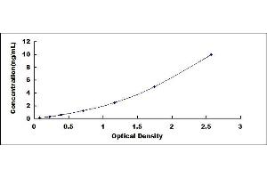 Podoplanin (PDPN) ELISA Kit