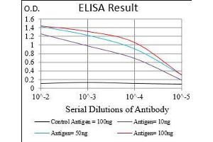 Black line: Control Antigen (100 ng), Purple line: Antigen(10 ng), Blue line: Antigen (50 ng), Red line: Antigen (100 ng),