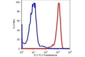 Image no. 1 for anti-Protein tyrosine Phosphatase, Receptor Type, C (PTPRC) antibody (ABIN2704279)