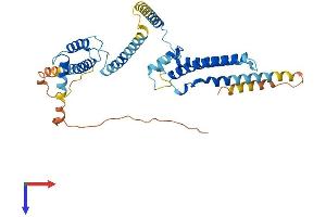 AlphaFold protein structure predicition of Mouse Recombinant Dnajc28 Protein, UniprotID Q8VCE1