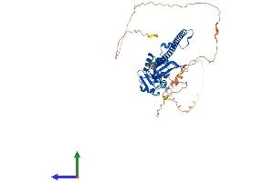 AlphaFold protein structure predicition of Human Recombinant PSPC1 Protein, UniprotID Q8WXF1