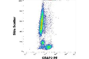 Flow cytometry intracellular staining pattern of human peripheral whole blood stained using anti-human GRAP2(UW40) PE antibody (concentration in sample 1,7 μg/mL). (GRAP2 anticorps  (PE))