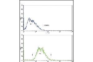 TTR Antibody (Center) (ABIN390652 and ABIN2840950) flow cytometry analysis of HepG2 cells (bottom histogram) compared to a negative control cell (top histogram).