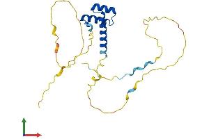 AlphaFold protein structure predicition of Human Recombinant PROP1 Protein, UniprotID O75360