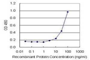 Sandwich ELISA detection sensitivity ranging from 3 ng/mL to 100 ng/mL.