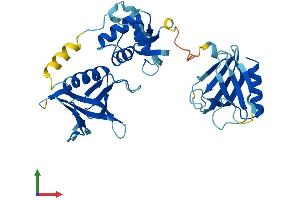 AlphaFold protein structure predicition of Mouse Recombinant Plek2 Protein, UniprotID Q9WV52