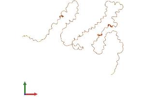 AlphaFold protein structure predicition of Human Recombinant KRTAP10-3 Protein, UniprotID P60369