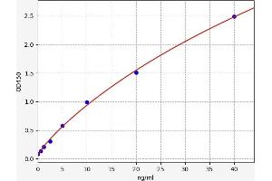 Typical standard curve (RCN1 Kit ELISA)