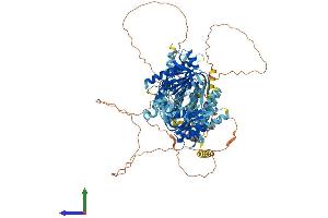AlphaFold protein structure predicition of Mouse Recombinant Adcy5 Protein, UniprotID P84309