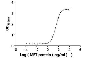 Measured by its binding ability in a functional ELISA.