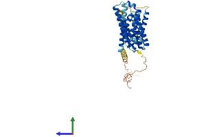 AlphaFold protein structure predicition of Mouse Recombinant Slc35f2 Protein, UniprotID Q7TML3