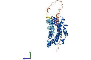 AlphaFold protein structure predicition of Human Recombinant HCAR1 Protein, UniprotID Q9BXC0