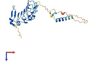 AlphaFold protein structure predicition of Human Recombinant LRRC18 Protein, UniprotID Q8N456
