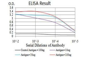 Black line: Control Antigen (100 ng), Purple line: Antigen(10 ng), Blue line: Antigen (50 ng), Red line: Antigen (100 ng),