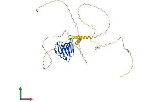 AlphaFold protein structure predicition of Mouse Recombinant Lmntd1 Protein, UniprotID Q9D4C1