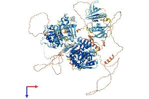 AlphaFold protein structure predicition of Human Recombinant ARAP3 Protein, UniprotID Q8WWN8