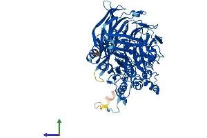 AlphaFold protein structure predicition of Human Recombinant APEH Protein, UniprotID P13798