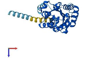 AlphaFold protein structure predicition of Human Recombinant PIGL Protein, UniprotID Q9Y2B2