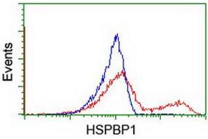 HEK293T cells transfected with either RC201814 overexpress plasmid (Red) or empty vector control plasmid (Blue) were immunostained by anti-HSPBP1 antibody (ABIN2454877), and then analyzed by flow cytometry. (HSPBP1 anticorps)