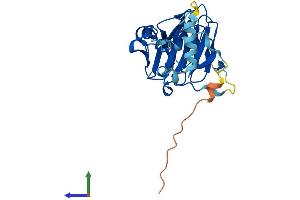 AlphaFold protein structure predicition of Mouse Recombinant Spsb2 Protein, UniprotID O88838