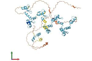 AlphaFold protein structure predicition of Human Recombinant ZNF264 Protein, UniprotID O43296