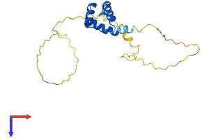 AlphaFold protein structure predicition of Human Recombinant TGIF2LY Protein, UniprotID Q8IUE0