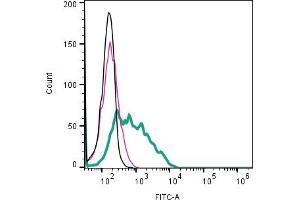 Cell surface detection of CD9 by indirect flow cytometry in live intact human  megakaryoblast cell line: + goat-anti-rabbit-FITC. (CD9 anticorps  (Extracellular))